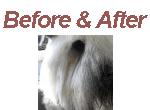 Before and After Slide Show